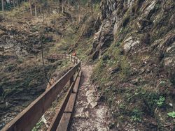Traveller admiring picturesque view of mountain stream