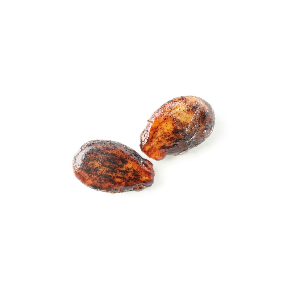 Watermelon seeds isolated on plain background. Summer fruit