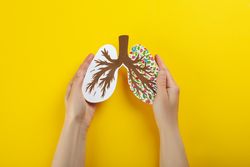 Hands holding paper lungs with painted bronchus and flowers