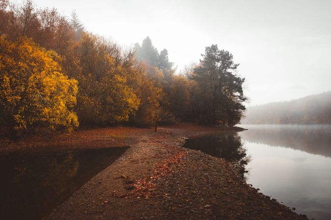 Tranquil water of lake in mist