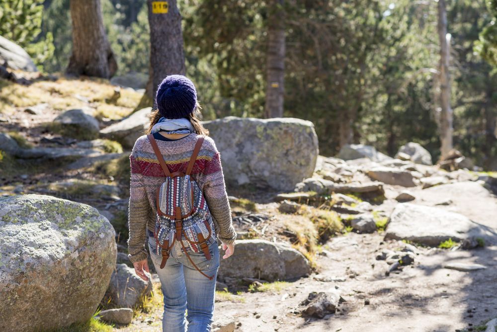 Rear of woman in sweater and backpack strolling on trail in the woods