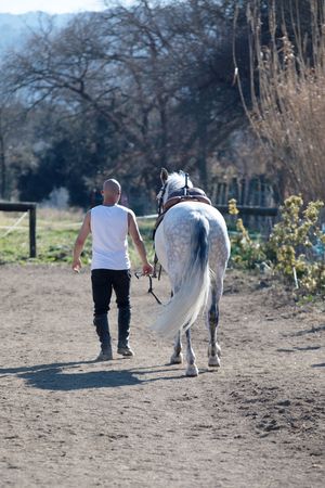 Back view of a bald man walking with his horse outside
