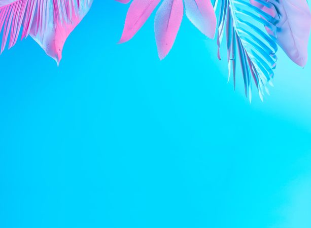 Tropical and palm leaves in vibrant bold blue and pink gradient holographic neon colors