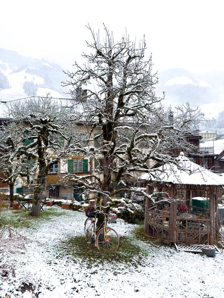 Snowy day in residential backyard in Rossiniere, VD