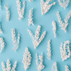 Snowy Christmas tree branches on pastel blue background