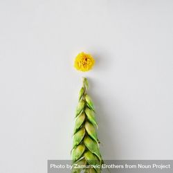 Christmas tree made with wheat grass and yellow flower 41jAjb