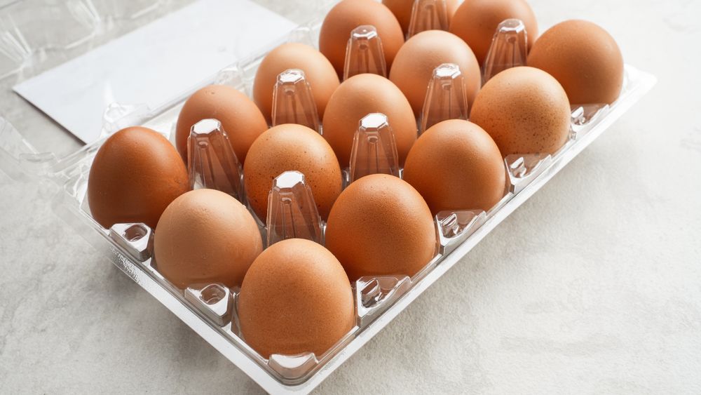 Organic chicken eggs in plastic packaging