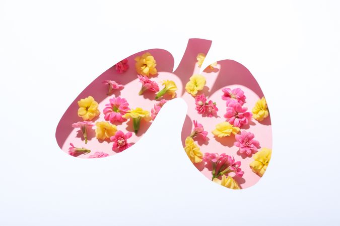 Lung shape cut out of paper with bronchus with flowers underneath