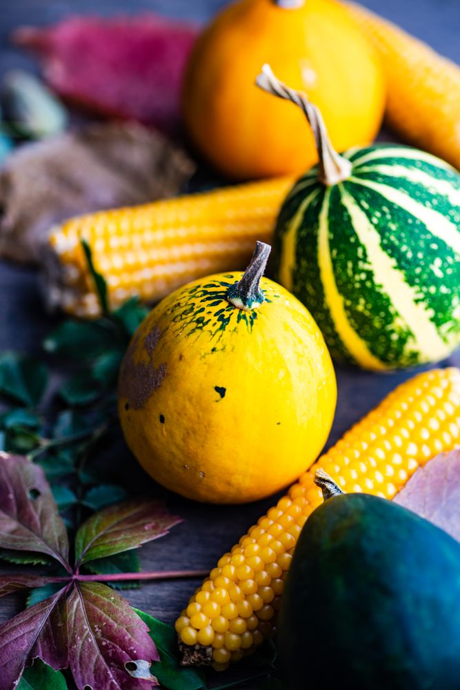 Close up of mini squashes and corn with autumn leaves on table