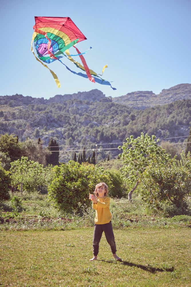 Cheerful boy playing with kite