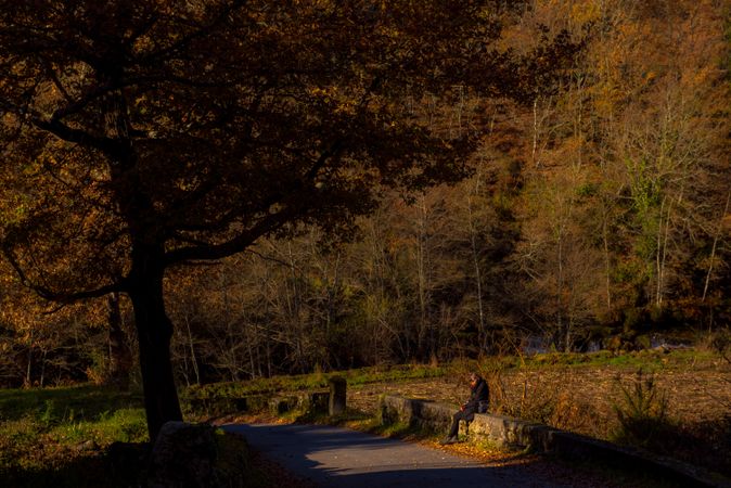 Person sitting on border near autumn forest