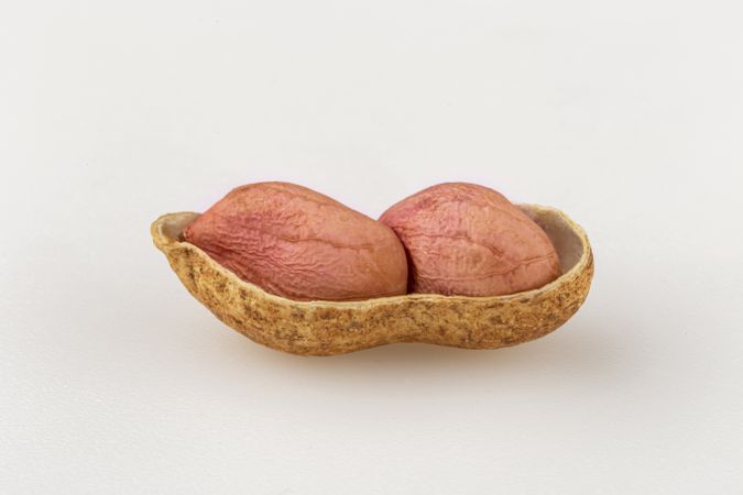 Dry peanut on the white background.