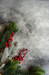 Christmas frame with pine branch and holly on stone background