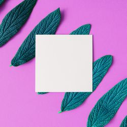 Green leaves in a row on purple background with light-colored square