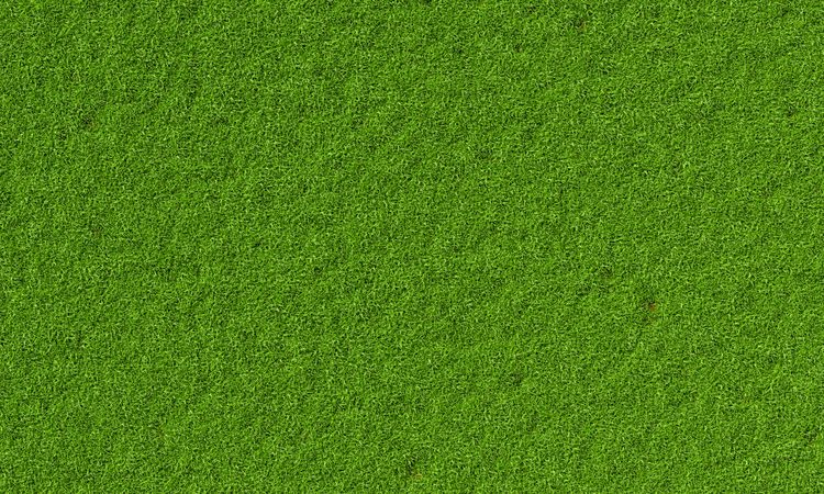 Top view of plain field of grass