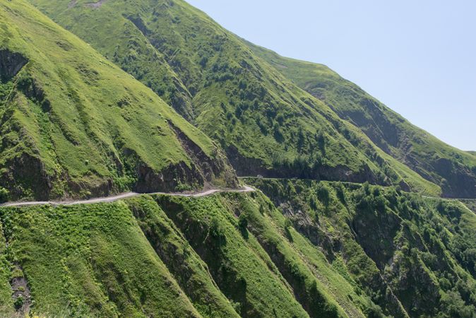 Wonderful view of foggy valley with lush greenery