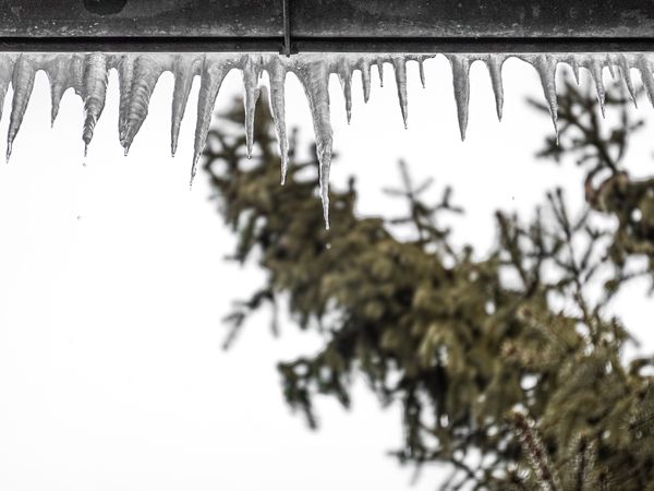 Melting gutter icicles, Rougemont