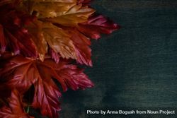 Autumn leaves on wooden table with copy space 4BzRe4