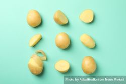 Potatoes cut in different ways in square shape on green background bGkgab