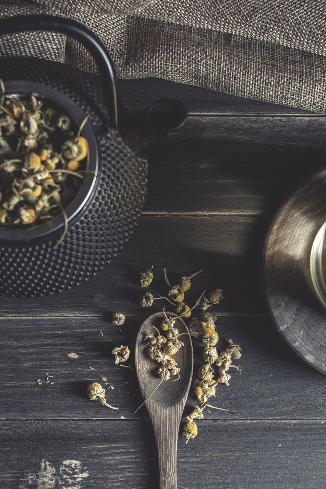 Dried chamomile for herbal tea