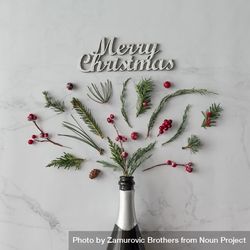 Champagne bottle with winter foliage on marble background with the words “Merry Christmas” 4N2r24
