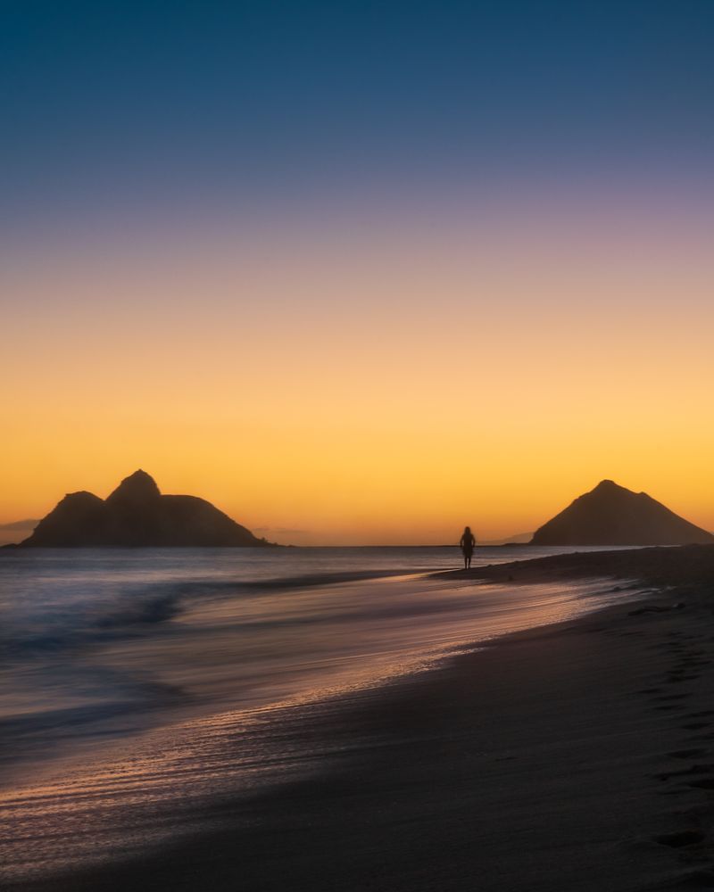 Silhouette of person walking on seashore during sunset