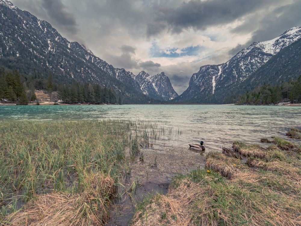 Amazing lake near mountains