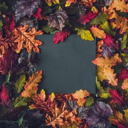 Autumn leaves with paper card note