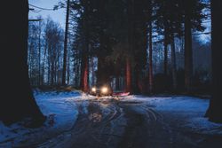 Car riding along dirty road in evening forest