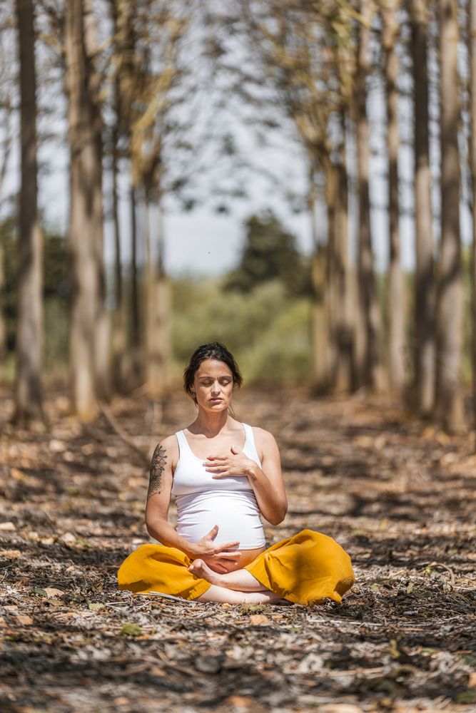 Calm adult pregnant woman practicing yoga while sitting in pose lotus on ground in park during sunny day