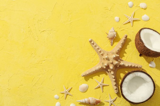 Starfishes, coconut and seashells on yellow background, space for text