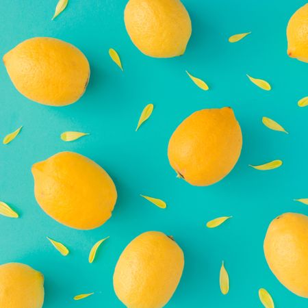 Lemons and yellow petals on bright blue background