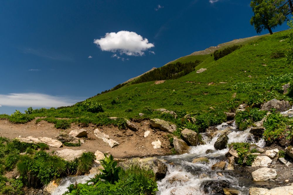 Small stream cascading over rocks on green hillside