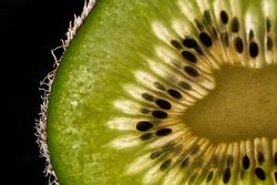 Fresh kiwi fruit texture on dark background