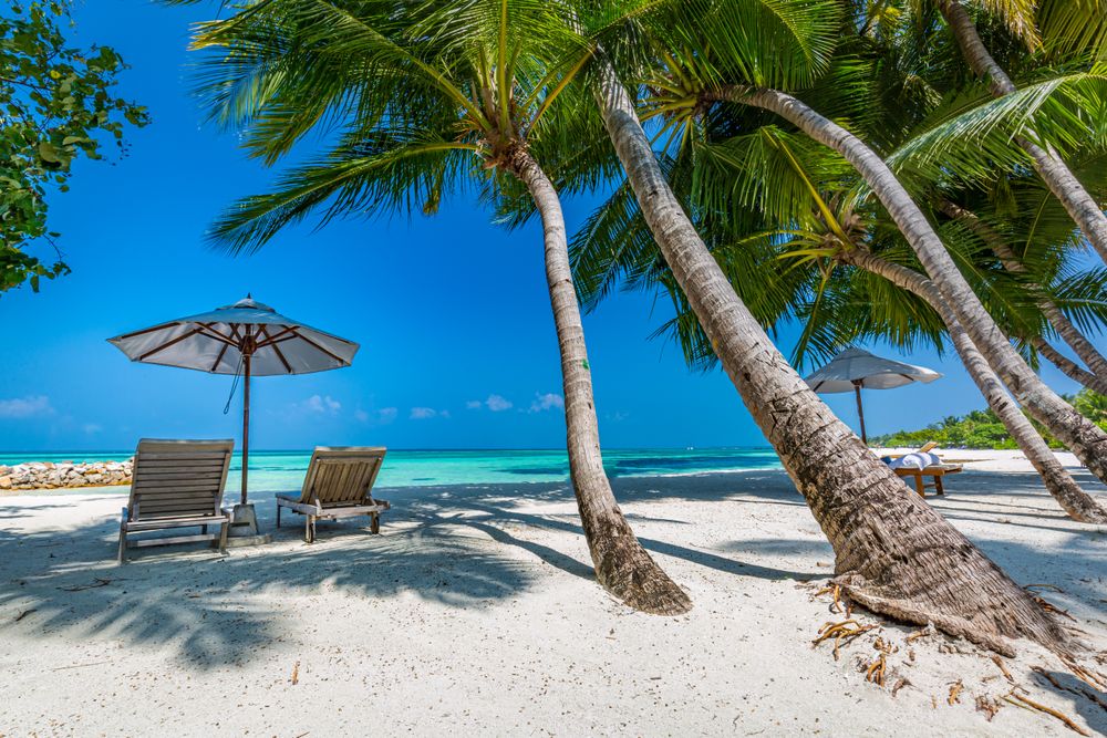 Beach with reclining chairs and palm trees and crystal clear waters