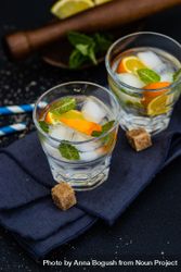 Gin and tonic cocktail with orange and mint 4mWgLW