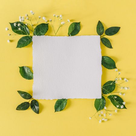 Layout with flowers and leaves on yellow background
