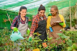 Smiling multiracial women working with plants
