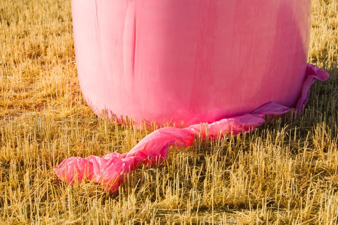 Bales wrapped with pink plastic