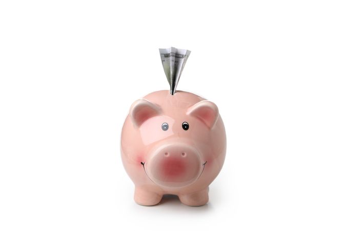 Piggy bank with dollar bill isolated on light background