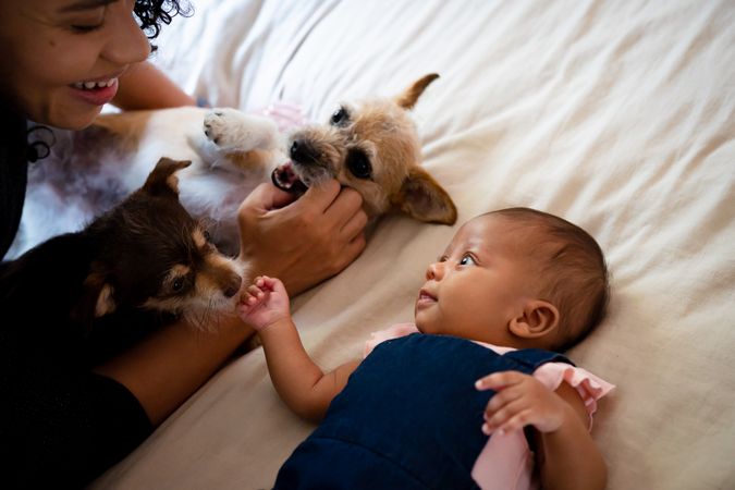 Woman with dogs on bed with infant