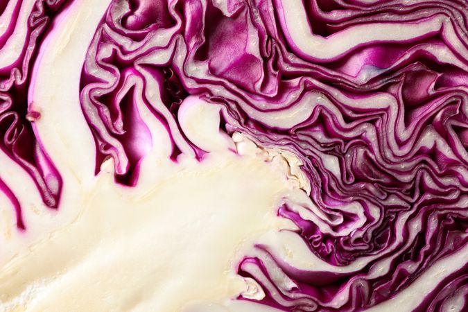 Red cabbage texture on blank background, close up