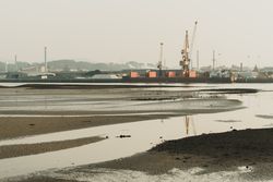 Industrial landscape with sea bay and port cranes