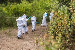 Company of kids in protective costumes in apiary