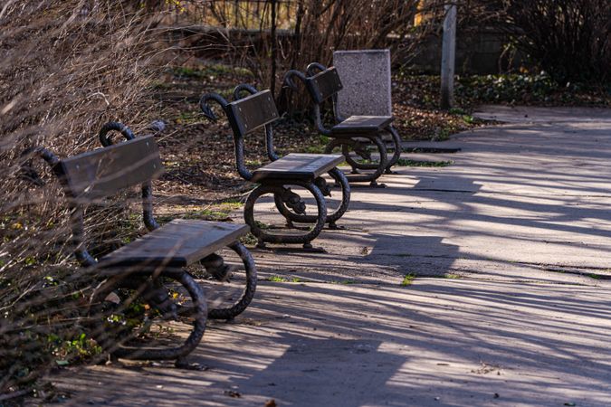 Park benches in the park in Prague city