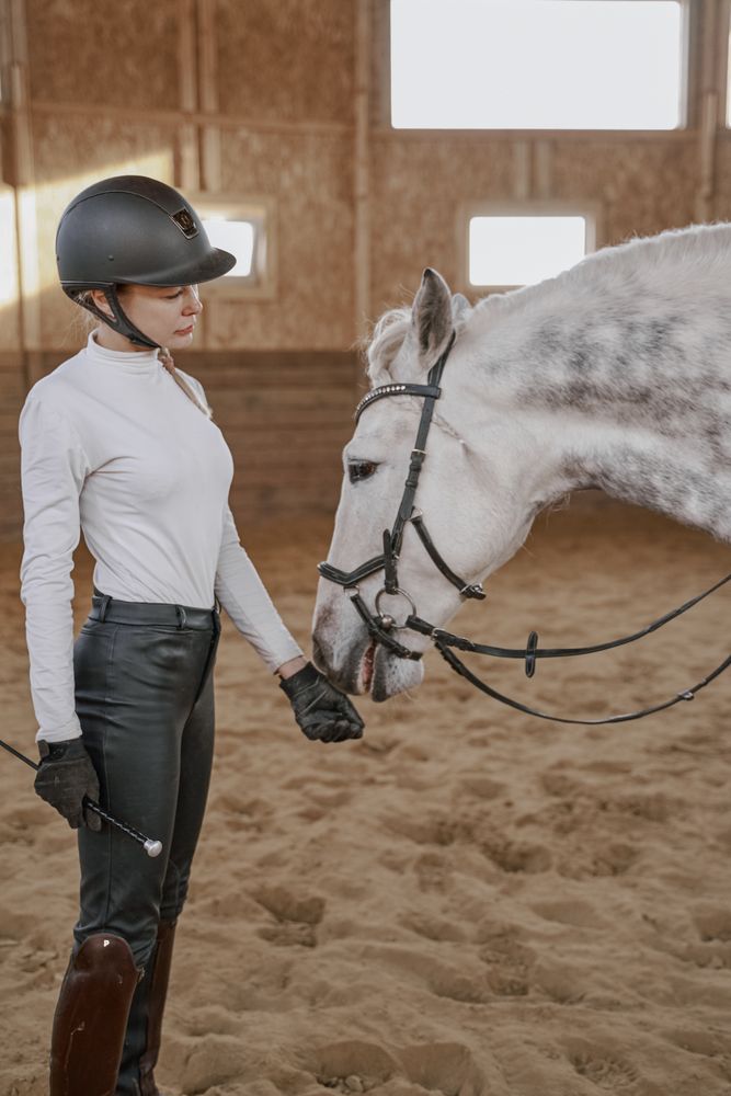 Rider with dapple gray horse in round arena