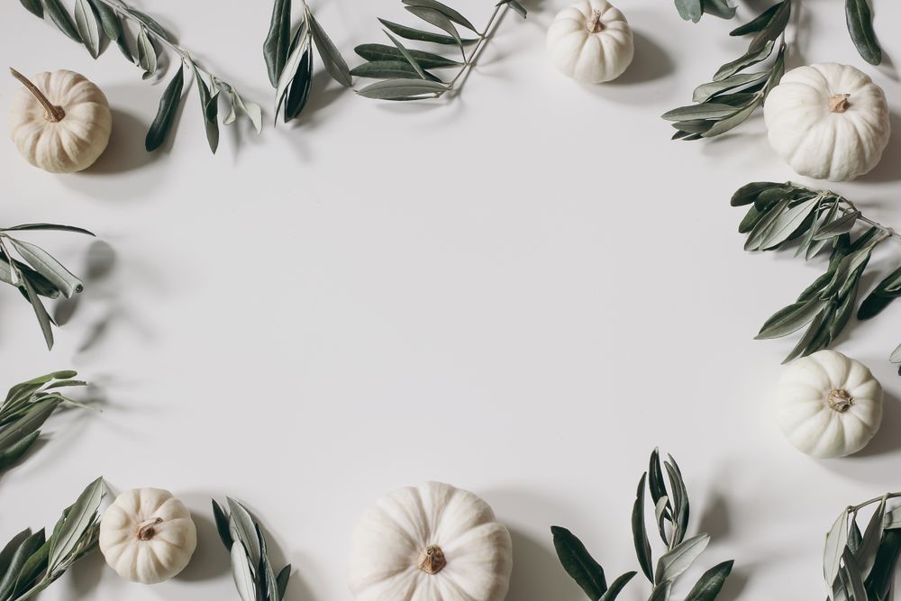 Paper with frame of decorative pumpkins and branches