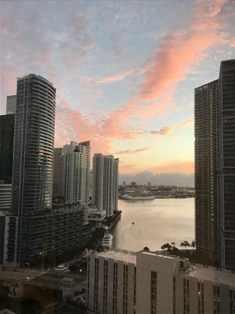 Miami's city skyline near seashore
