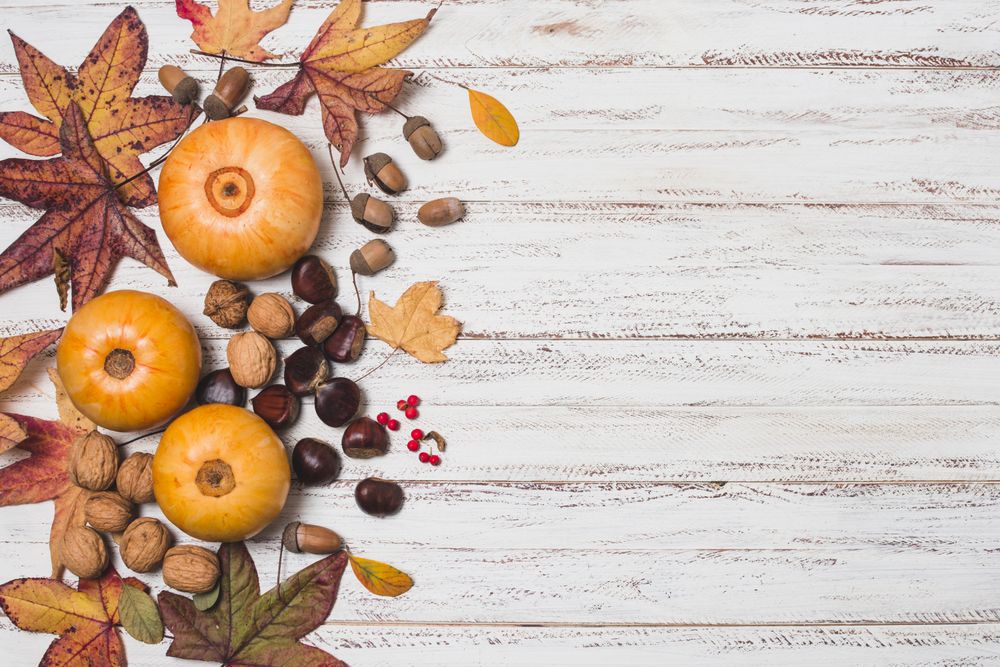 Autumn leaves with fall vegetables with copy space