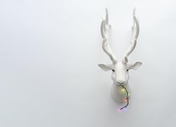 Decorative mounted head of reindeer with Christmas tree lights in mouth